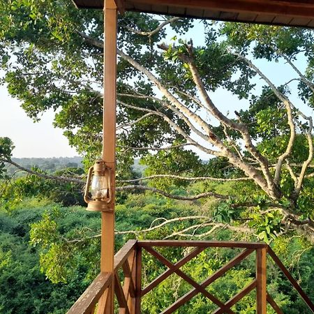 Hotel Leopard Nest - Glamping In Parque nacional Yala Exterior foto