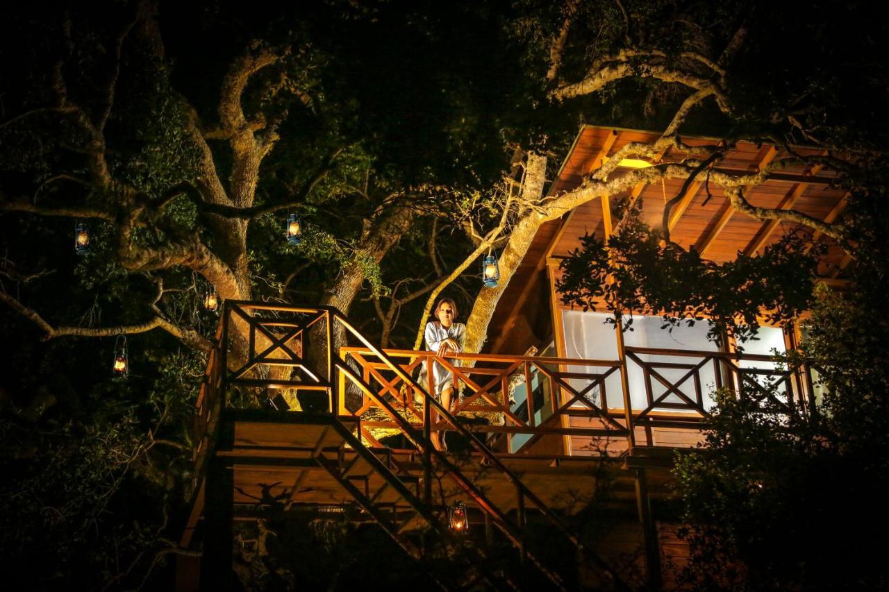 Hotel Leopard Nest - Glamping In Parque nacional Yala Exterior foto
