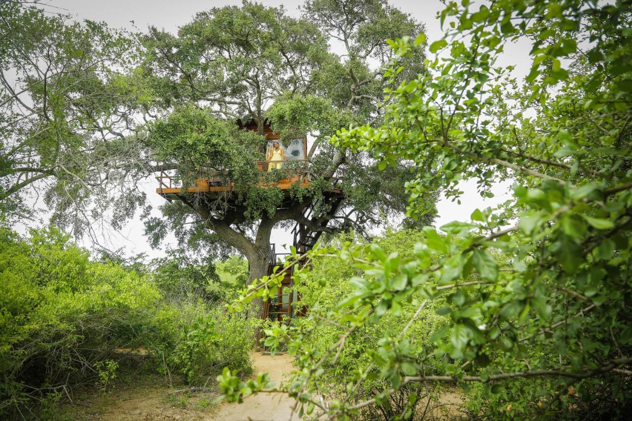 Hotel Leopard Nest - Glamping In Parque nacional Yala Exterior foto