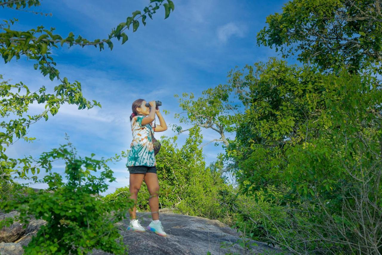 Hotel Leopard Nest - Glamping In Parque nacional Yala Exterior foto