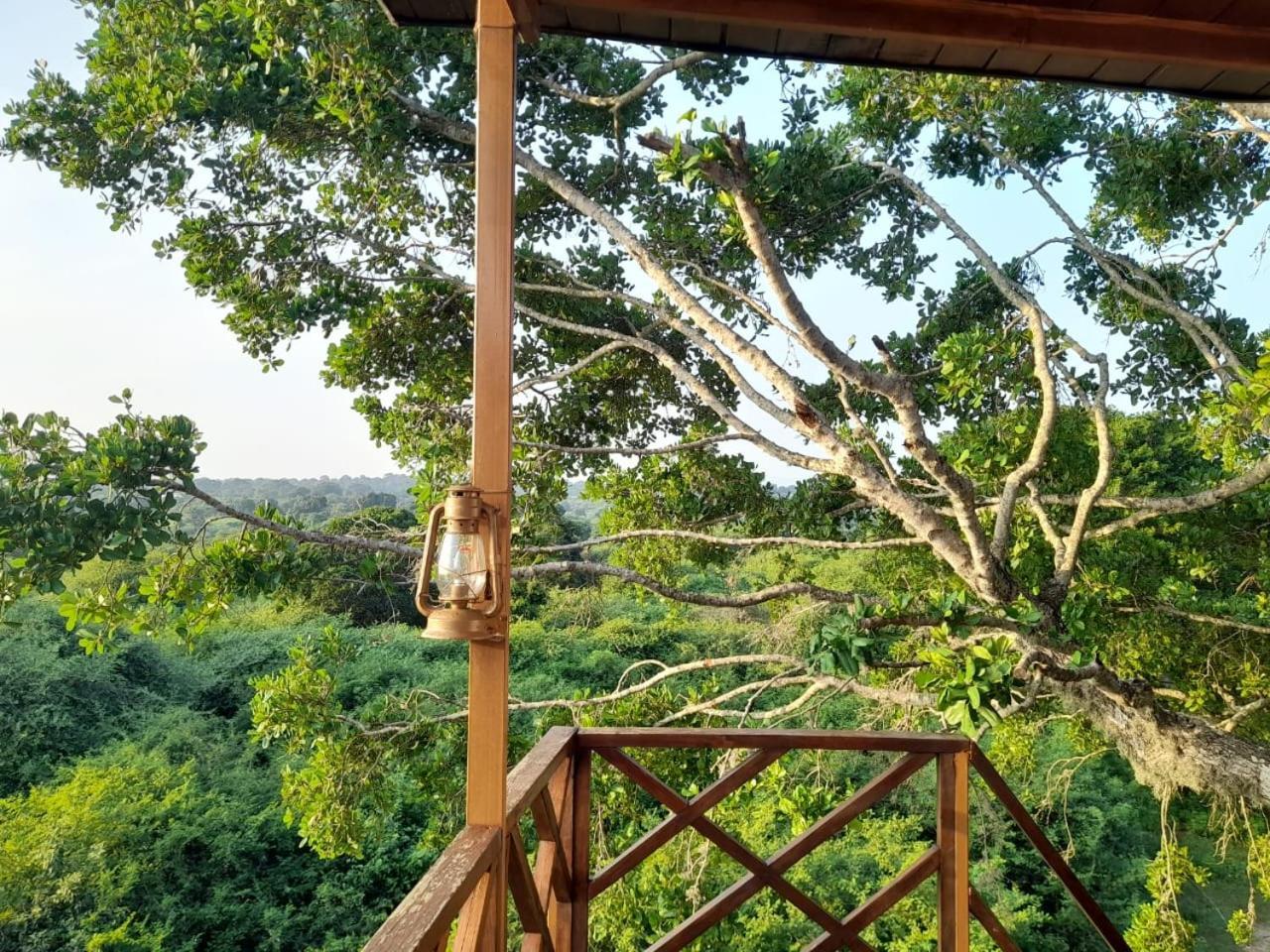 Hotel Leopard Nest - Glamping In Parque nacional Yala Exterior foto