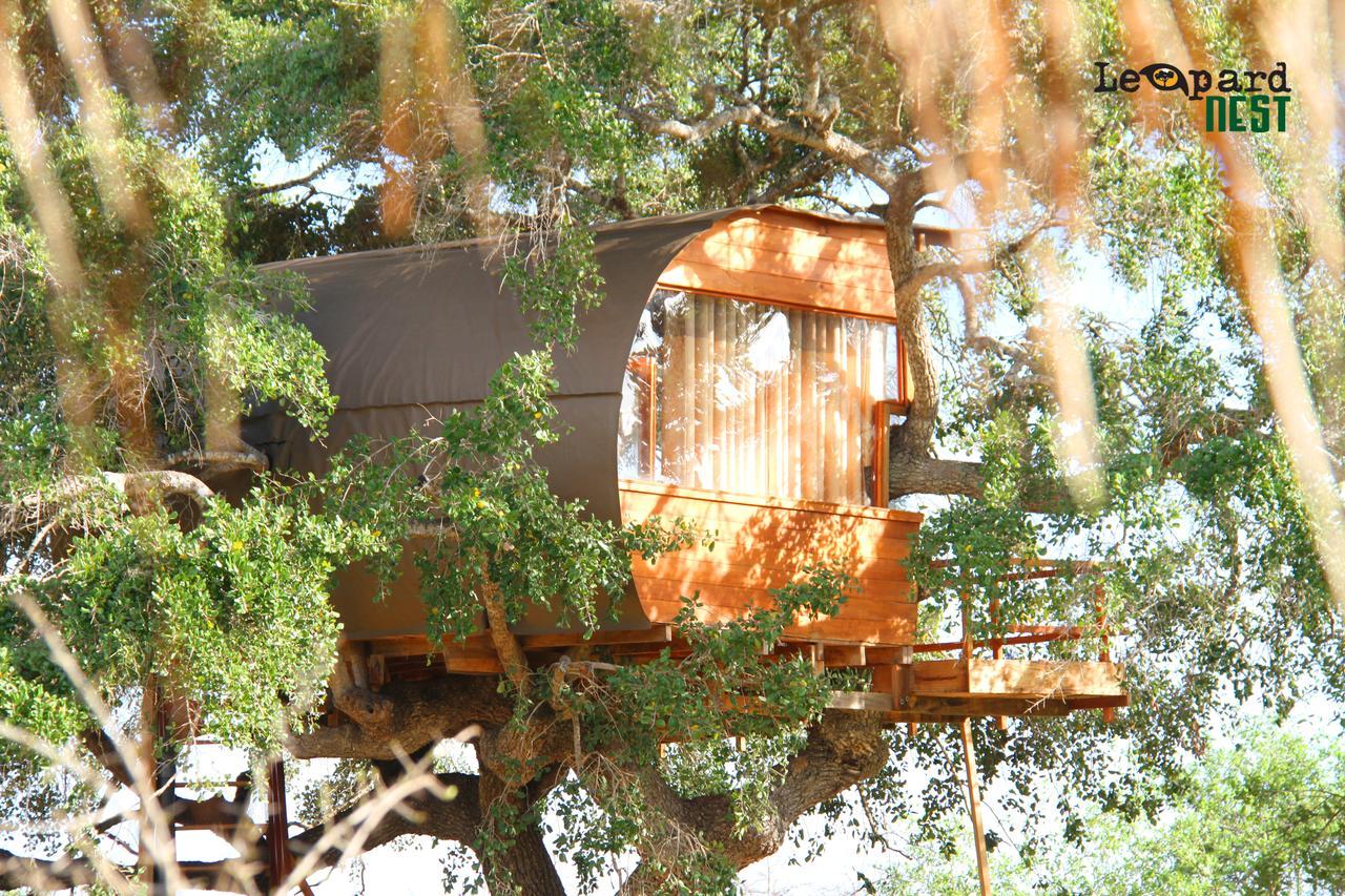 Hotel Leopard Nest - Glamping In Parque nacional Yala Exterior foto