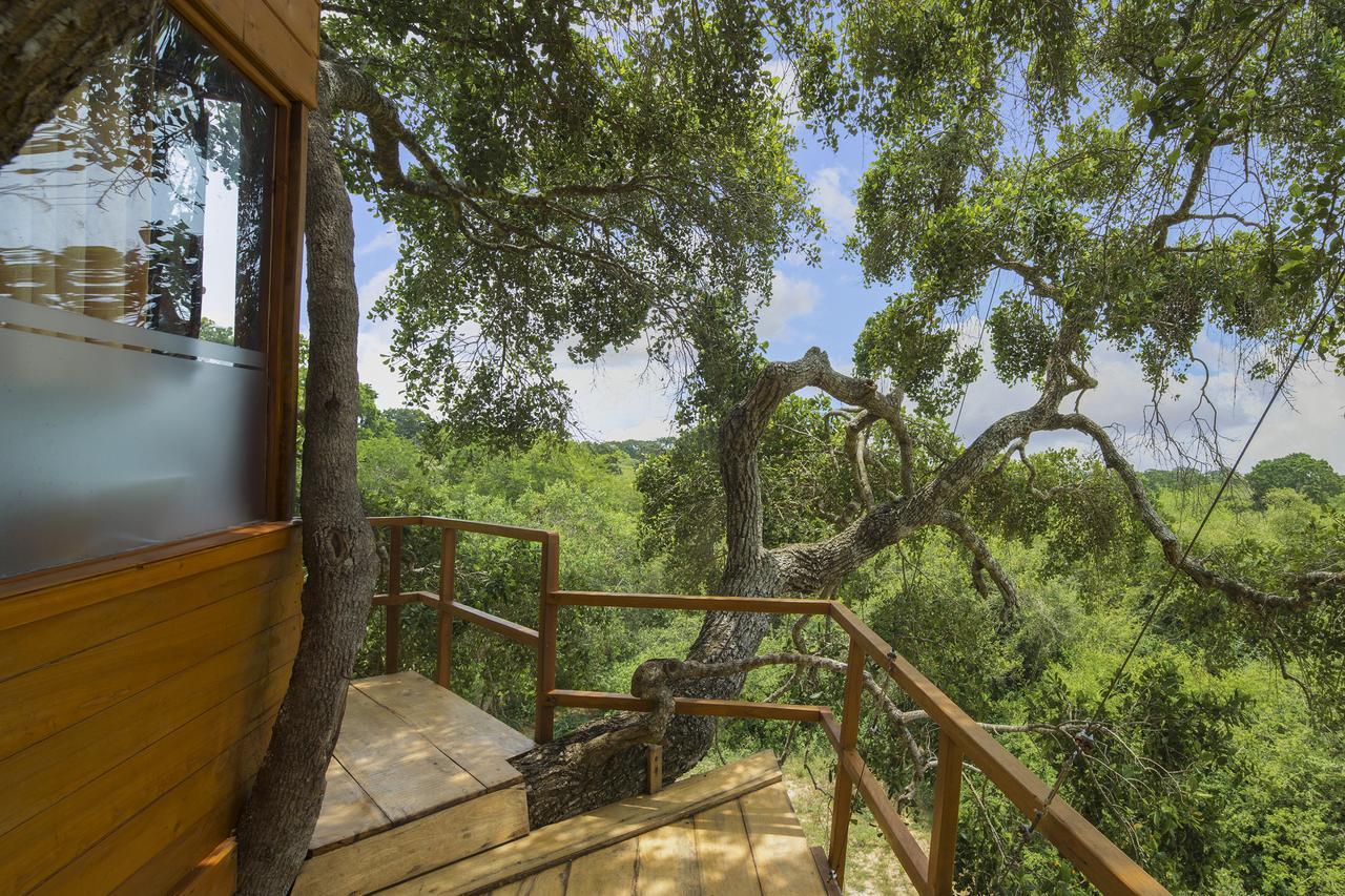 Hotel Leopard Nest - Glamping In Parque nacional Yala Exterior foto