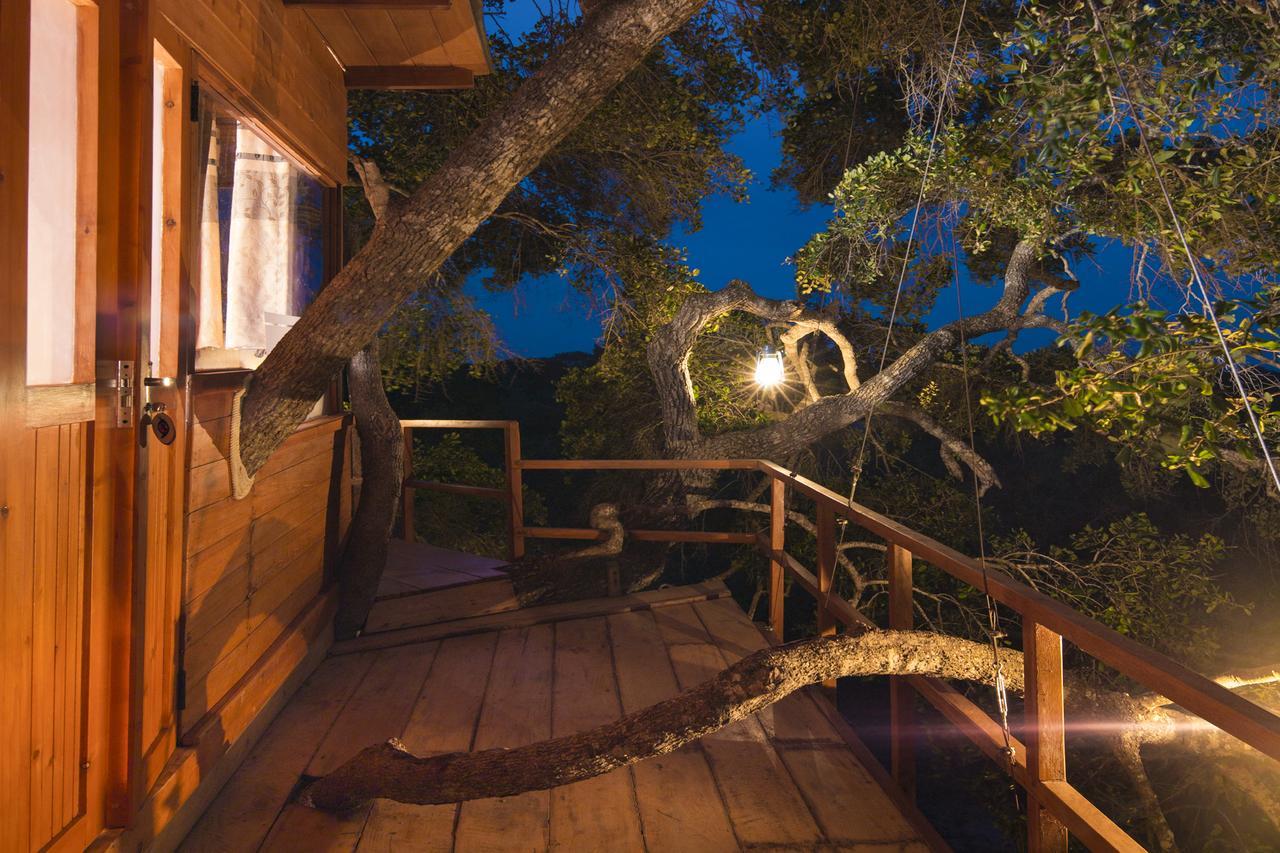 Hotel Leopard Nest - Glamping In Parque nacional Yala Exterior foto